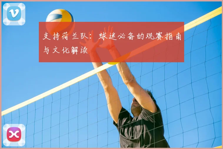 支持荷兰队：球迷必备的观赛指南与文化解读