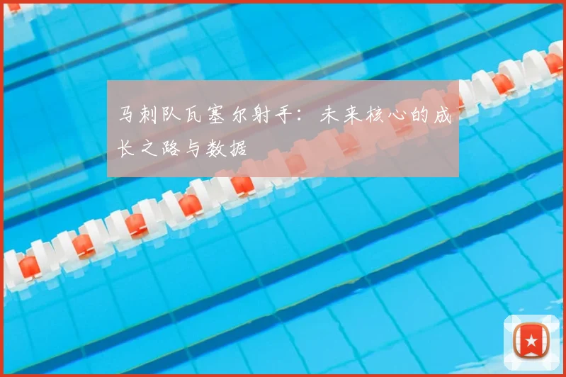 马刺队瓦塞尔射手：未来核心的成长之路与数据