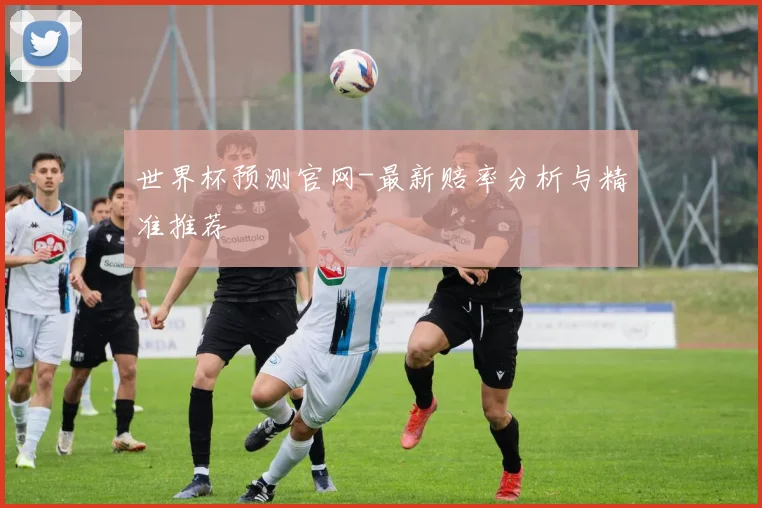 世界杯预测官网-最新赔率分析与精准推荐
