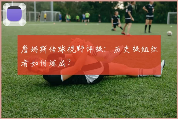 詹姆斯传球视野评级：历史级组织者如何炼成？