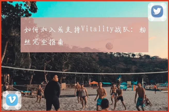 如何加入或支持Vitality战队：粉丝完全指南
