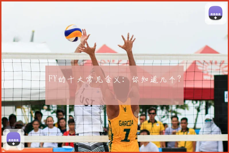 FY的十大常见含义：你知道几个？